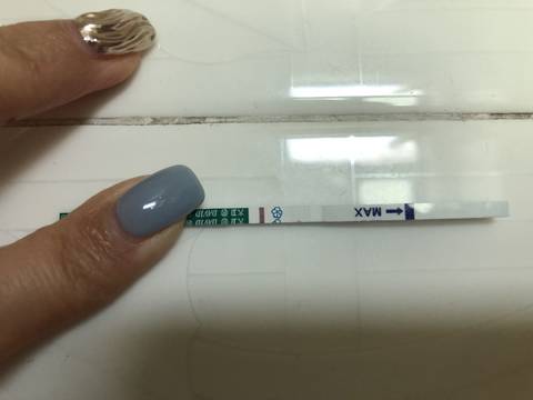 journal_insert_pic_1062516474