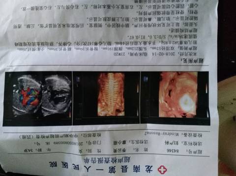 journal_insert_pic_1062558403