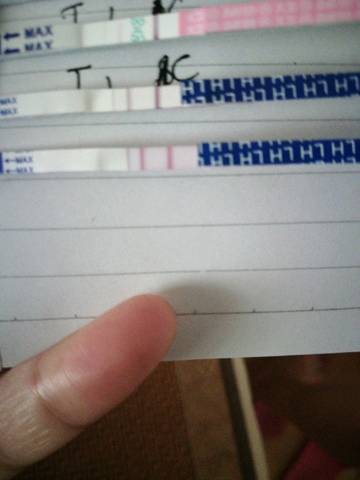 journal_insert_pic_1064132728