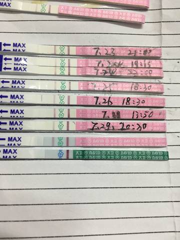 journal_insert_pic_1064691917