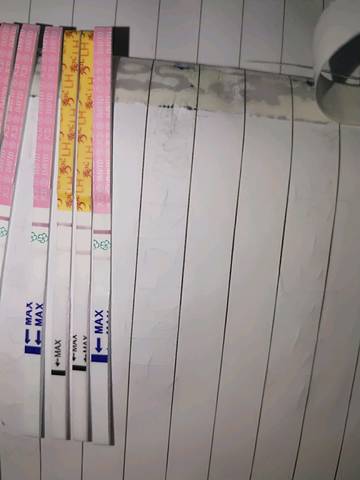 journal_insert_pic_1064318854