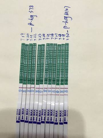 journal_insert_pic_1064519648