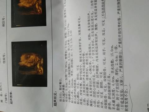 journal_insert_pic_1064139441