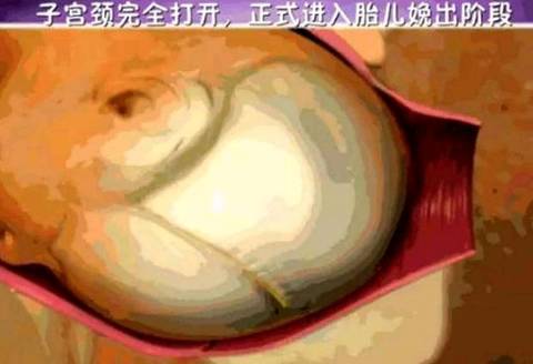 journal_insert_pic_1064477544