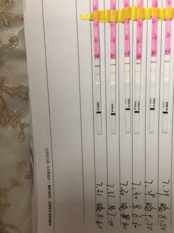 journal_insert_pic_1065190958