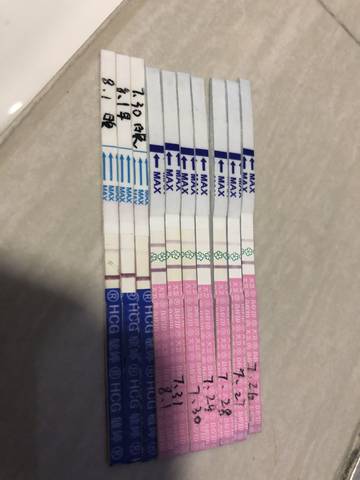 journal_insert_pic_1065877583