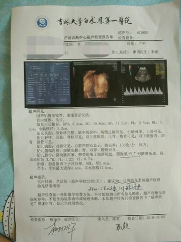 journal_insert_pic_1066421761