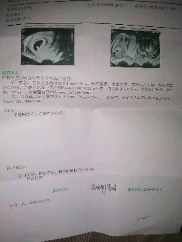 journal_insert_pic_1066996391