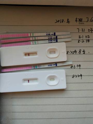 journal_insert_pic_1066670309