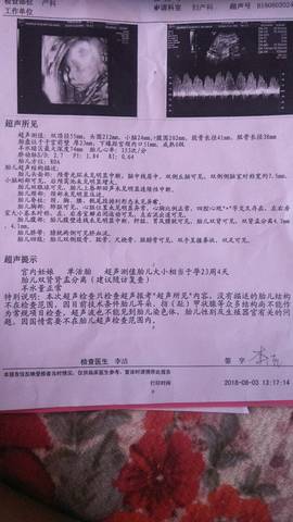 journal_insert_pic_1067203269