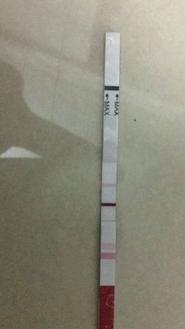 journal_insert_pic_1067542306