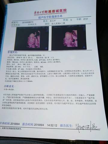 journal_insert_pic_1067561243