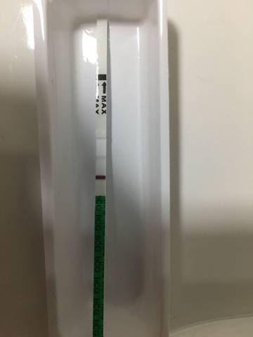 journal_insert_pic_1067929529