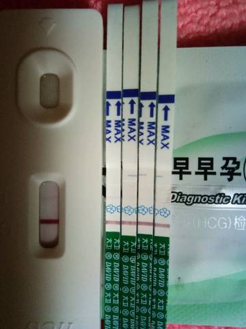 journal_insert_pic_1067943691