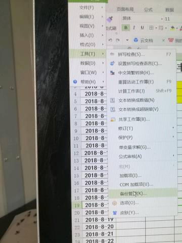 journal_insert_pic_1068651515