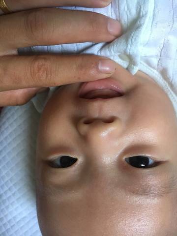 journal_insert_pic_1069353437