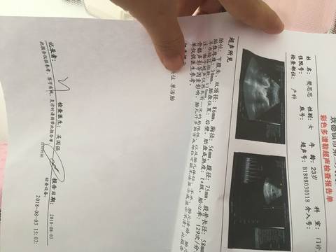 journal_insert_pic_1069510982