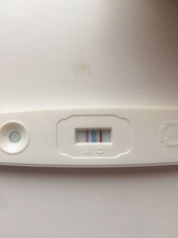 journal_insert_pic_1069267454