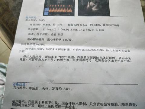 journal_insert_pic_1069480381