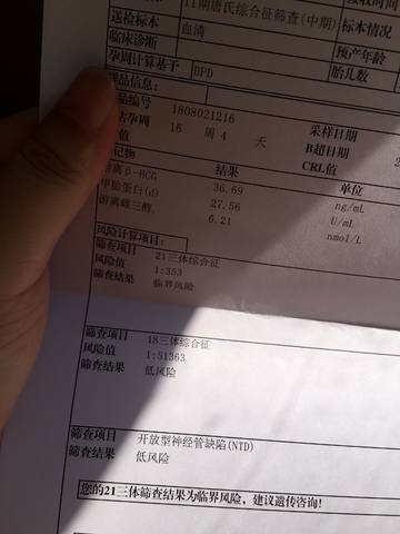 journal_insert_pic_1070479755