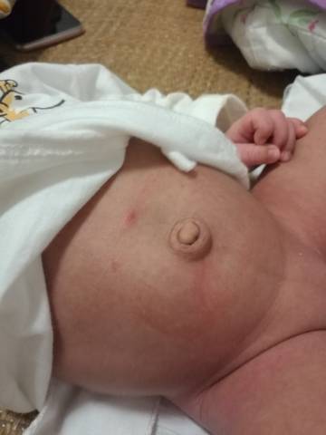 journal_insert_pic_1071008645