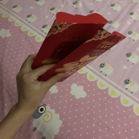 journal_insert_pic_1070497447