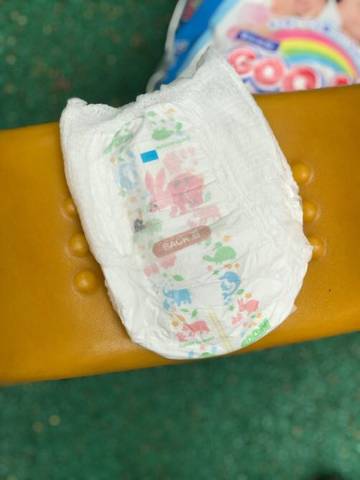 journal_insert_pic_1070616734