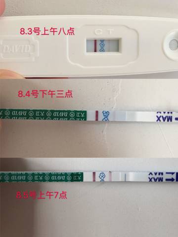 journal_insert_pic_1070572819