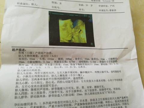 journal_insert_pic_1071379004