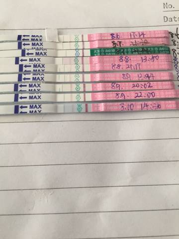 journal_insert_pic_1071381379