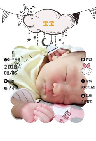 journal_insert_pic_1071488003