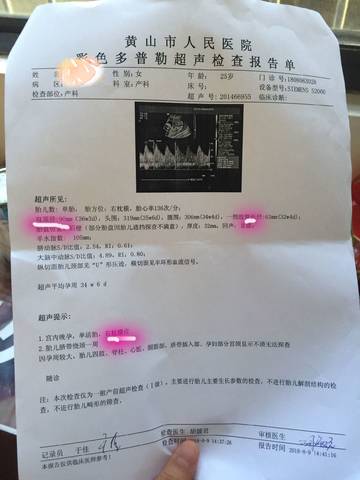 journal_insert_pic_1071806116
