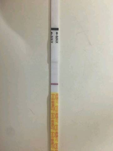 journal_insert_pic_1072260140