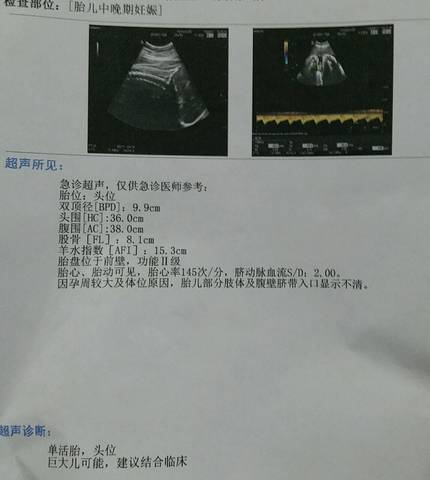 journal_insert_pic_1072180428