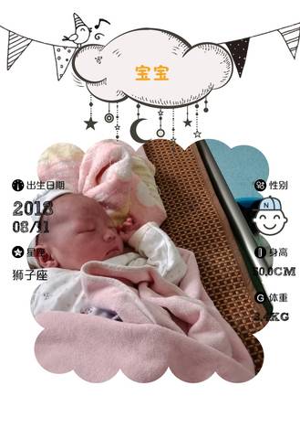 journal_insert_pic_1071783734