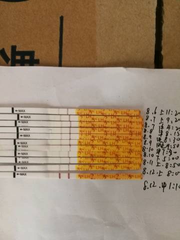 journal_insert_pic_1072589824