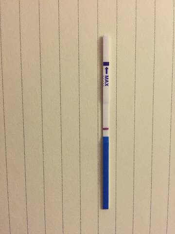 journal_insert_pic_1072331312