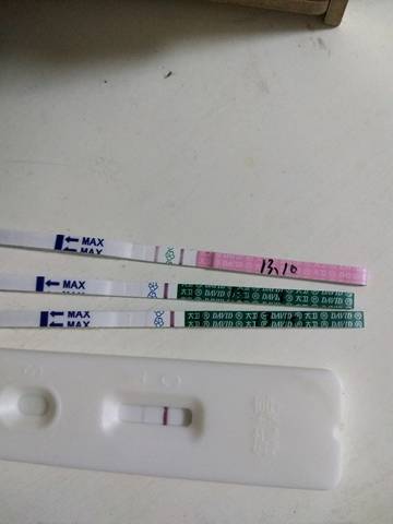 journal_insert_pic_1073507035
