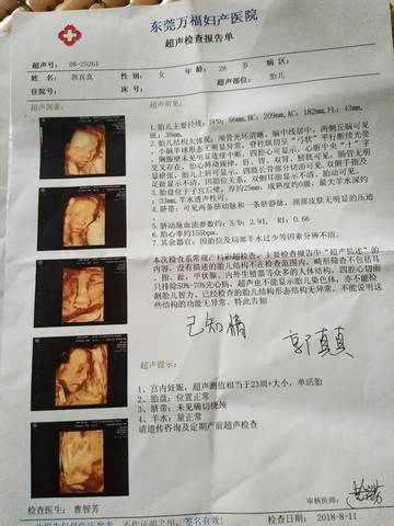 journal_insert_pic_1073202293
