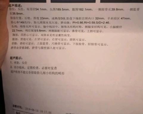 journal_insert_pic_1073236845