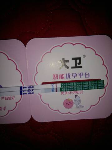 journal_insert_pic_1073065892