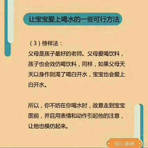 journal_insert_pic_1074073305
