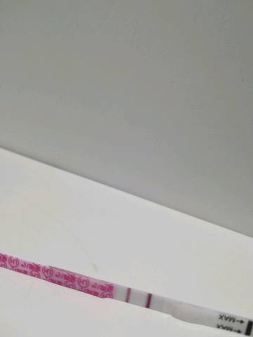 journal_insert_pic_1073800144