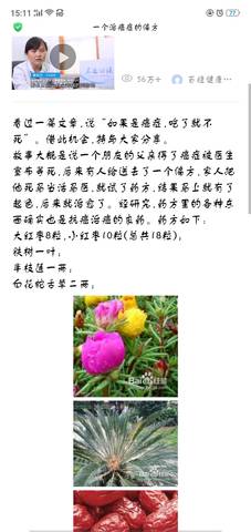 journal_insert_pic_1073950604