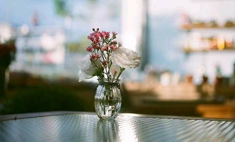 journal_insert_pic_1074130188