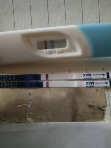 journal_insert_pic_1074520823