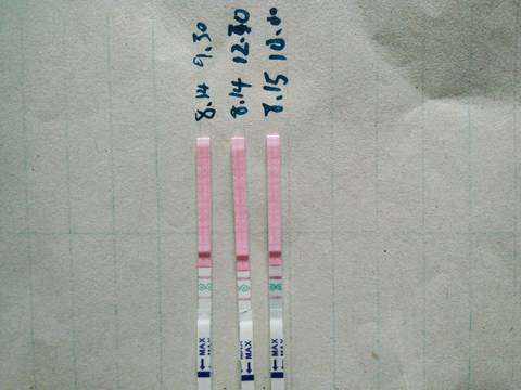 journal_insert_pic_1074442737