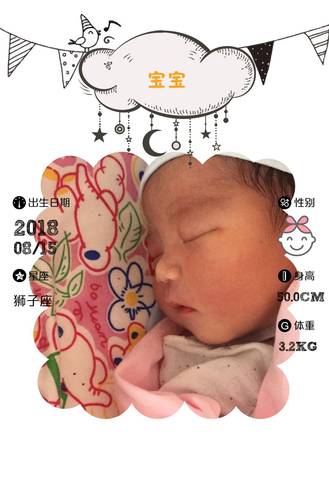 journal_insert_pic_1074646280
