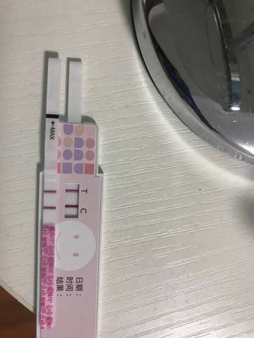 journal_insert_pic_1074559179