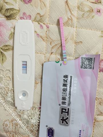 journal_insert_pic_1074507115